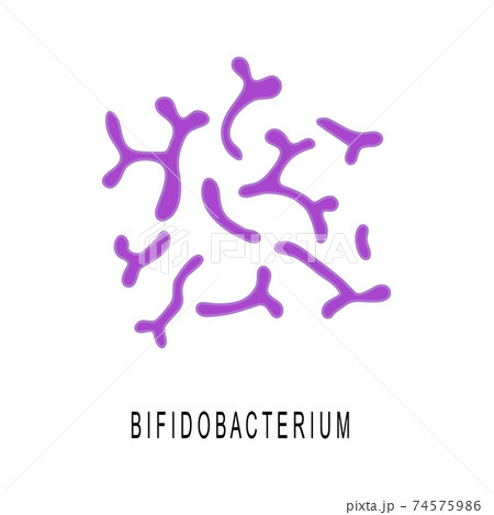 Bifidobacterium colony. Probiotics, beneficial bacterias for human health and beauty. Good microorganisms under microscop isolated on white background. Vector cartoon illustration 74575986