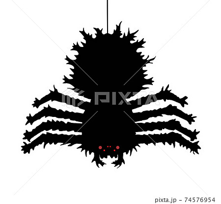 Scary poisonous spider isolated on white, vector 74576954