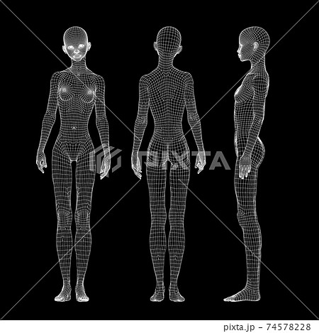 ワイヤーフレーム　黒バック　女性　ヌード　イラスト 74578228