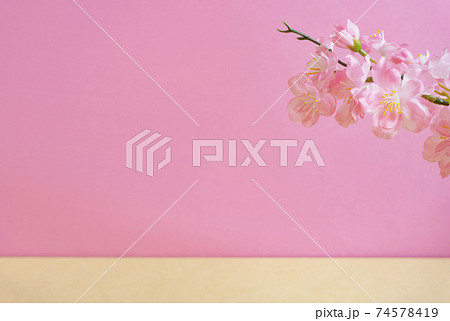 桜とピンク色の壁 桜とピンク色の壁 74578419