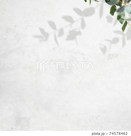 コンクリートの壁に落ちた枝の影 - イメージ的な背景 - 複数のバリエーションがあります 74578462