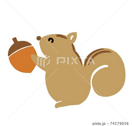 どんぐりを持ったリス 線なしのイラスト素材