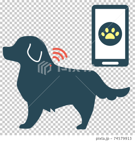 犬　ICチップ　追跡　シルエット 74579913