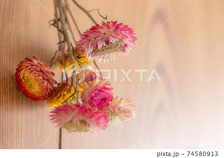 壁につるしたドライフラワーの花束の写真素材