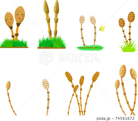 可愛いツクシセットのイラスト素材