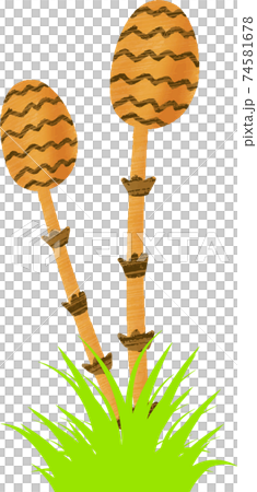 可愛い手書きのツクシのイラスト素材