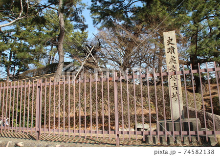 史跡処女塚古墳 史跡処女塚古墳 74582138