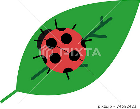 葉っぱと可愛いてんとう虫のイラスト素材