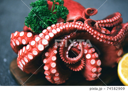 Octopus food cooked salad seafood squid cuttlefish dinner restaurant, Boiled octopus tentacles with lemon on plate background. Octopus food cooked salad seafood squid cuttlefish dinner restaurant, Boiled octopus tentacles with lemon on plate background. 74582909