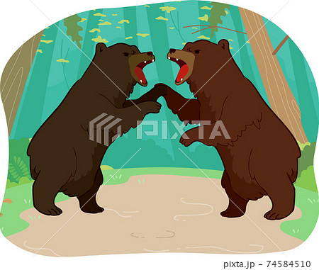 Competition Bears Illustration Competition Bears Illustration 74584510