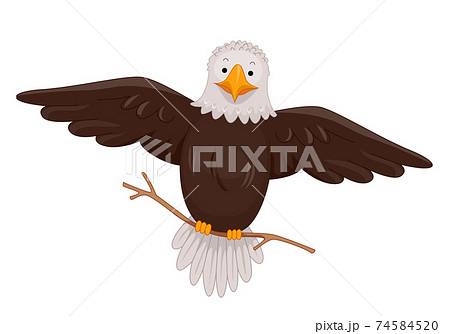 Bald Eagle Hold Stick Flying Illustration 74584520
