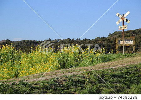 いすみ鉄道 第二五之町踏切 いすみ鉄道 第二五之町踏切 74585238