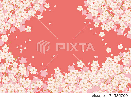 春の桜の花びらが舞うのイラスト素材