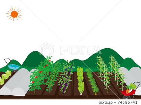 畑の風景 イラストのイラスト素材