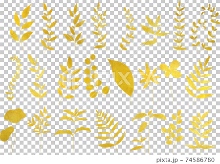 Gold leaf / plant set without line art Vector... - Stock Illustration ...