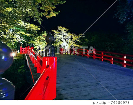 弘前公園　ライトアップ 74586973
