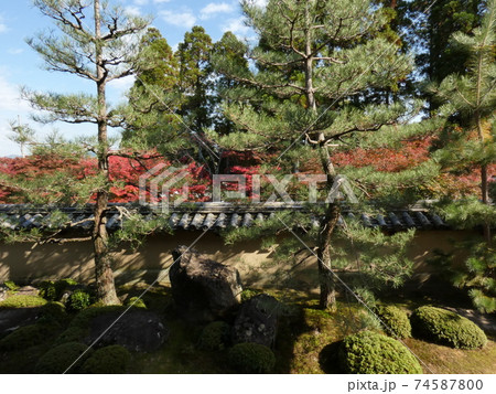 方丈庭園から参道の紅葉を垣間見る 方丈庭園から参道の紅葉を垣間見る 74587800