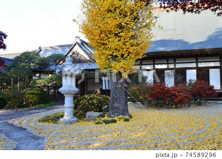 曜光山月山寺の紅葉 #22 曜光山月山寺の紅葉 #22 74589296