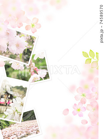 桜 背景素材 桜 背景素材 74589570