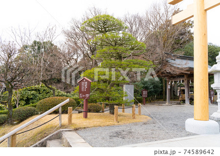 【熊本県】 水前寺成趣園 【熊本県】 水前寺成趣園 74589642