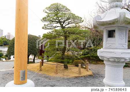 【熊本県】　水前寺成趣園 74589643