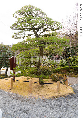 【熊本県】　水前寺成趣園 74589644