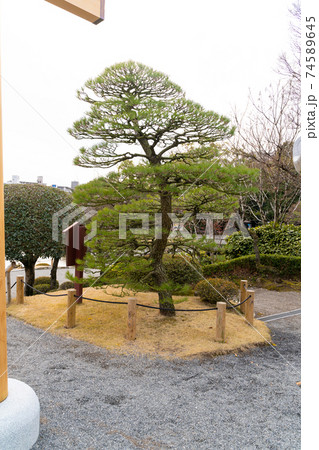 【熊本県】　水前寺成趣園 74589645