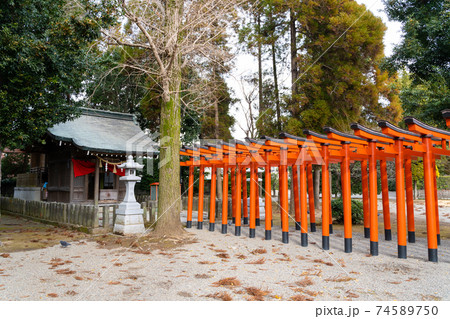 【熊本県】　水前寺成趣園 74589750