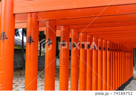 【熊本県】 水前寺成趣園 【熊本県】 水前寺成趣園 74589752