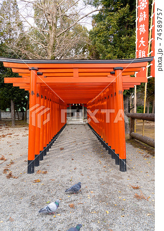 【熊本県】 水前寺成趣園 【熊本県】 水前寺成趣園 74589757