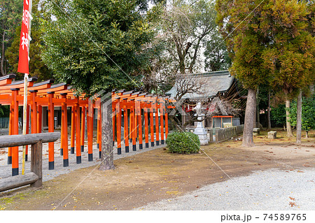 【熊本県】 水前寺成趣園 【熊本県】 水前寺成趣園 74589765