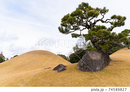 【熊本県】　水前寺成趣園 74589827