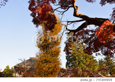 曜光山月山寺の紅葉　　＃33 74589909