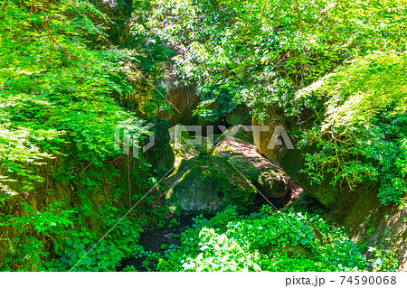 磐船神社の境内 74590068