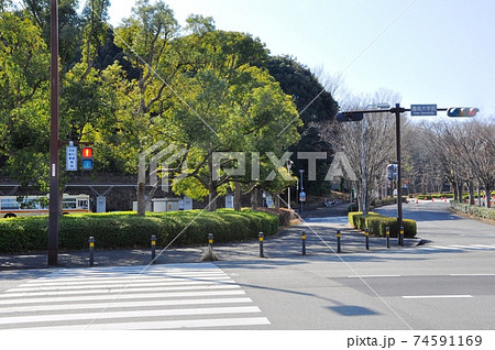 神奈川県藤沢市　慶応大学前交差点とバス乗り場 74591169