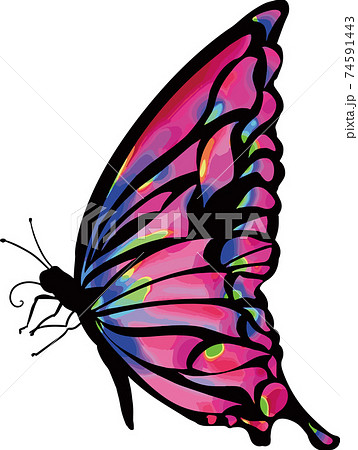シンプルで綺麗な羽の蝶々のイラスト素材