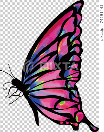 シンプルで綺麗な羽の蝶々のイラスト素材