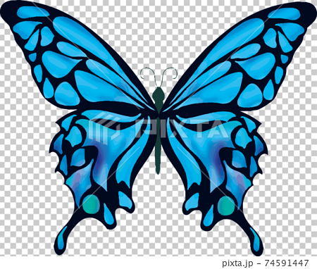 シンプルで綺麗な青い蝶々のイラスト素材