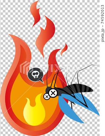 飛んで火に入る夏の虫 蚊 のイラスト素材