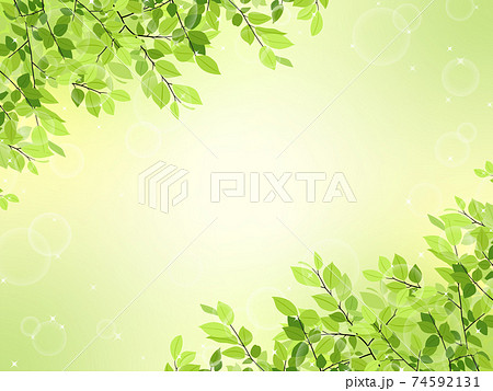 新緑のフレーム 背景素材 横長 のイラスト素材
