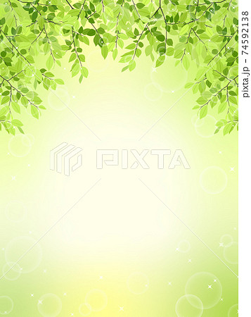 新緑のフレーム 背景素材 縦長 のイラスト素材