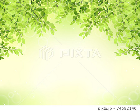 新緑のフレーム・背景素材（横長） 74592140