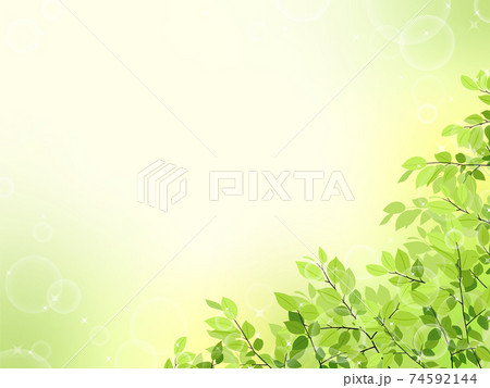 新緑のフレーム・背景素材（横長） 74592144