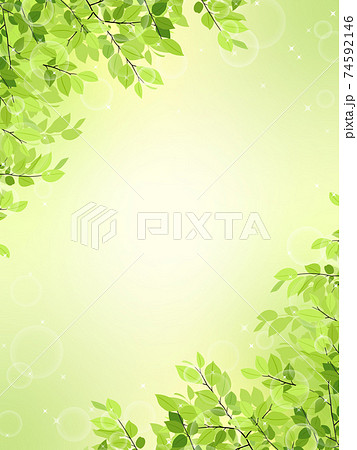 新緑のフレーム 背景素材 縦長 のイラスト素材