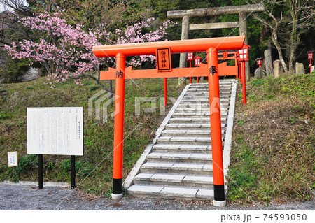 稲荷神社(精矛神社境内) 稲荷神社(精矛神社境内) 74593050