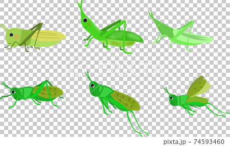 可愛的手寫蚱hopper套 可愛的手寫蚱hopper套 74593460