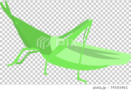 可愛的蚱hopper 可愛的蚱hopper 74593461