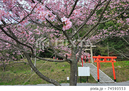 稲荷神社（精矛神社境内） 74593553