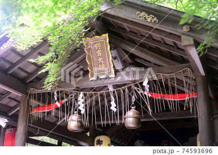 野宮神社拝殿-5 74593696