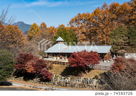 上野スカイブリッジ　秋　不二洞　川和自然公園　まほーばの森　シャボン玉 74593726